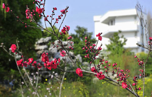 木里縣中學(xué)校