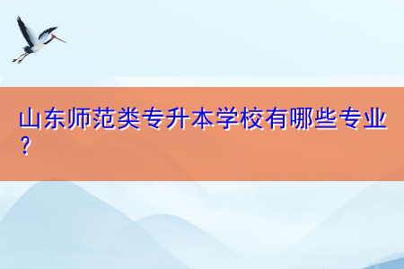 山東師范類專升本學(xué)校有哪些專業(yè)？