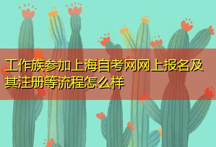 工作族參加上海自考網網上報名及其注冊等流程怎么樣