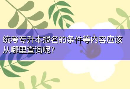 統(tǒng)考專升本報名的條件等內(nèi)容應(yīng)該從哪里查詢呢？