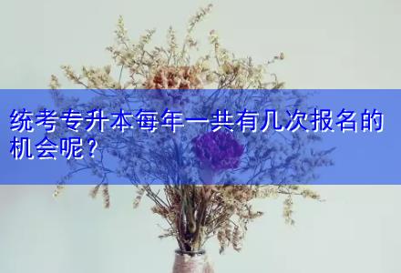 統(tǒng)考專升本每年一共有幾次報(bào)名的機(jī)會(huì)呢？