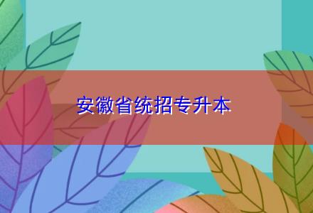 安徽省統(tǒng)招專升本