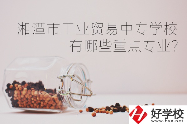 湘潭市工業(yè)貿易中等專業(yè)學校有哪些重點專業(yè)？