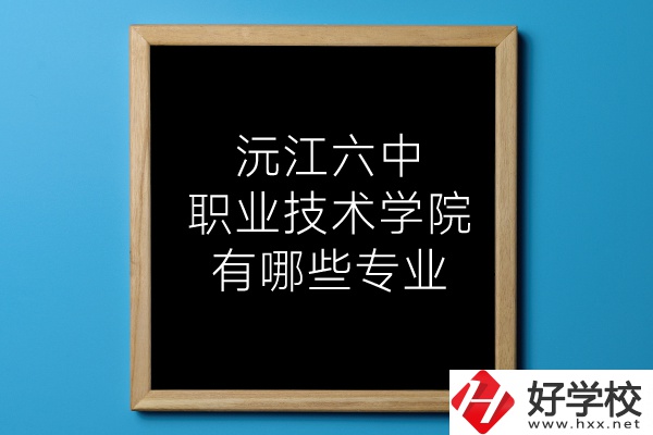 湖南沅江六中職業(yè)技術(shù)學(xué)院有哪些專(zhuān)業(yè)？