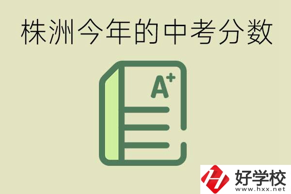 株洲今年中考多少分能上高中？沒考上有什么選擇？