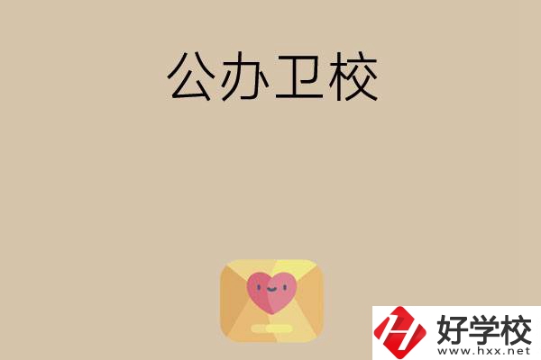 想在湖南上公辦衛(wèi)校？這所學(xué)校值得一看