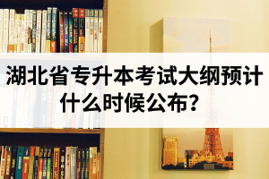 湖北省專升本考試大綱預(yù)計什么時候公布？現(xiàn)階段怎么備考比較好？