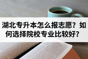 湖北省專升本怎么報志愿？如何選擇填報院校專業(yè)比較好？