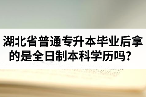 湖北省普通專升本畢業(yè)后拿的是全日制本科學歷嗎？