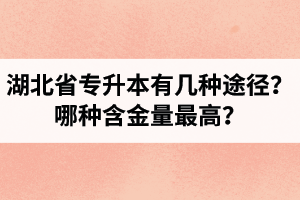 湖北省專升本有幾種途徑？哪種含金量最高？