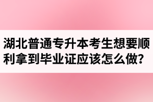 湖北普通專(zhuān)升本考生想要順利拿到畢業(yè)證應(yīng)該怎么做？