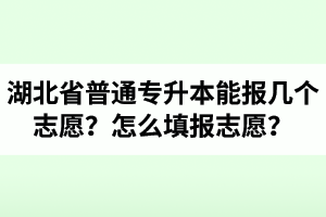 湖北省普通專升本能報(bào)幾個(gè)志愿？怎么填報(bào)志愿？