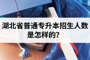 湖北省普通專升本招生人數(shù)是怎樣的？