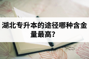 湖北普通專升本英譯漢段落翻譯分析應(yīng)該怎么做？