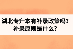 湖北專升本有補(bǔ)錄政策嗎？補(bǔ)錄原則是什么？