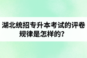 湖北統(tǒng)招專升本考試的評(píng)卷規(guī)律是怎樣的？怎么避免丟失細(xì)節(jié)分？