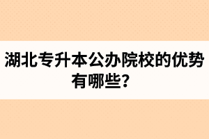 湖北專升本公辦院校的優(yōu)勢(shì)有哪些？為什么大家都想報(bào)公辦學(xué)校？