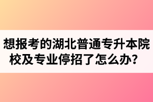 想報(bào)考的湖北普通專升本院校及專業(yè)停招了怎么辦？