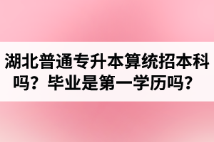 湖北普通專升本算統(tǒng)招本科嗎？專升本學歷是第一學歷嗎？