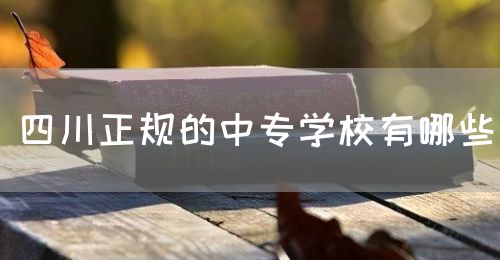 四川正規(guī)的中專學校有哪些？(圖1)