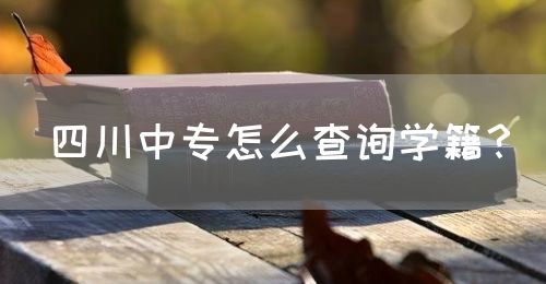 四川中專怎么查詢學(xué)籍？(圖1)