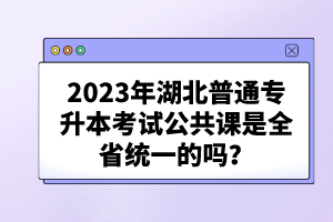 2023年湖北普通專升本考試公共課是全省統(tǒng)一的嗎？