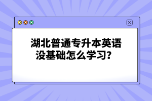 湖北普通專升本英語沒基礎(chǔ)怎么學(xué)習(xí)？