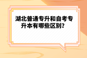 湖北普通專升和自考專升本有哪些區(qū)別？