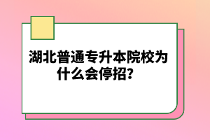 湖北普通專升本院校為什么會停招？