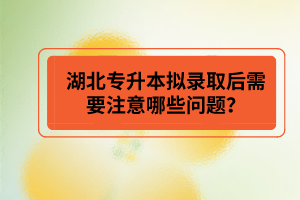 湖北專升本擬錄取后需要注意哪些問題？