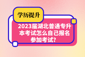 2023屆湖北普通專升本考試怎么自己報(bào)名參加考試？