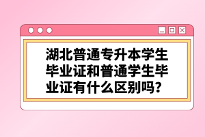 湖北普通專升本學(xué)生畢業(yè)證和普通學(xué)生畢業(yè)證有什么區(qū)別嗎？