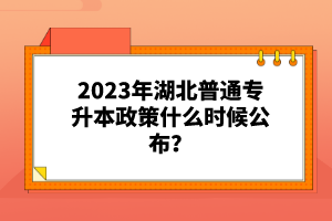 2023年湖北普通專升本政策什么時候公布？