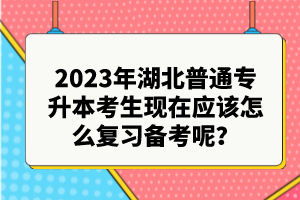 2023年湖北普通專升本考生現(xiàn)在應該怎么復習備考呢？