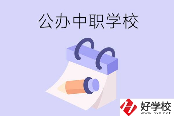 湖南公辦中職學(xué)校有哪些辦學(xué)規(guī)模比較大的？