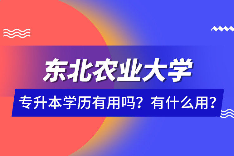 東北農(nóng)業(yè)大學(xué)專(zhuān)升本學(xué)歷有用嗎？有什么用？