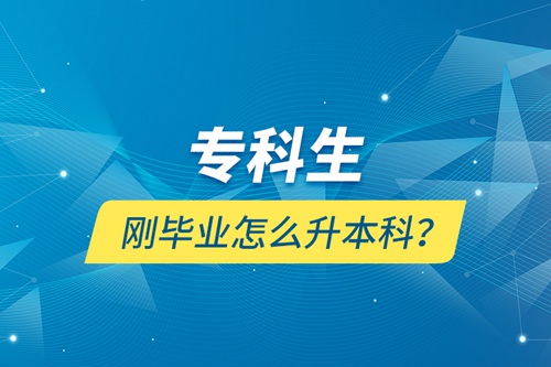 專科生剛畢業(yè)怎么升本科？