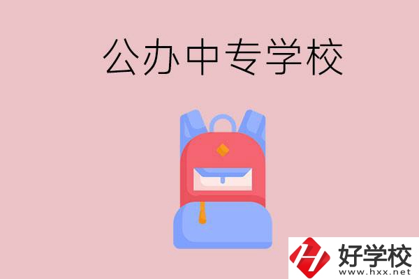 婁底有什么公辦中專學(xué)校？教學(xué)怎么樣？