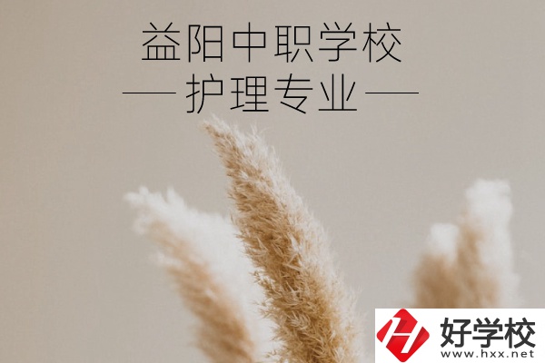 益陽(yáng)護(hù)理專業(yè)的中職學(xué)校有哪些？需要哪些要求？