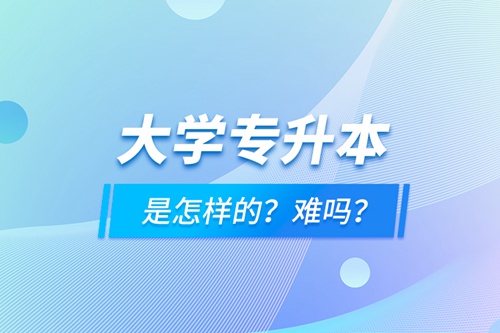 大學(xué)專(zhuān)升本是怎樣的？難嗎？