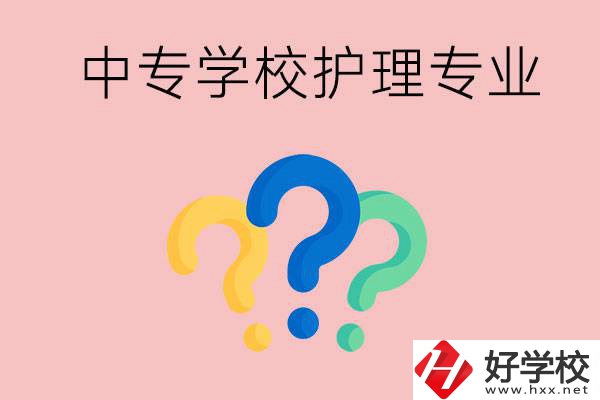 湖南的公辦中專學(xué)校哪些可以學(xué)護(hù)理專業(yè)？