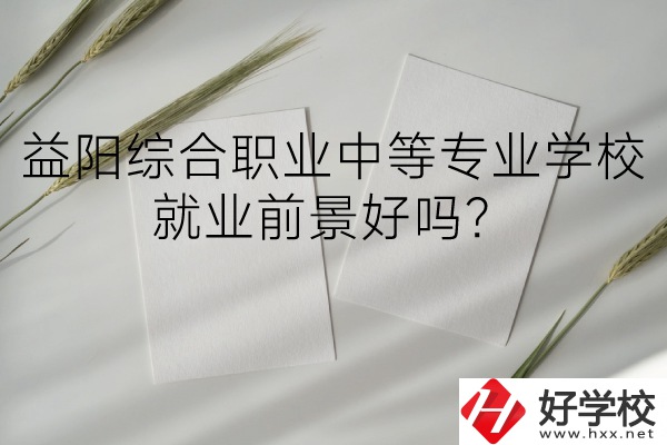 益陽(yáng)綜合職業(yè)中等專業(yè)學(xué)校如何？就業(yè)前景好嗎？