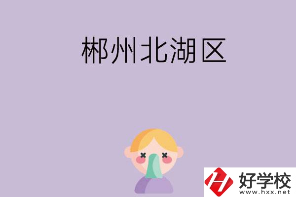 郴州北湖區(qū)有哪些學校？