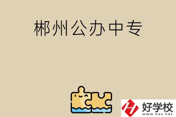 郴州公辦中專有哪些開設(shè)了電子商務(wù)專業(yè)？