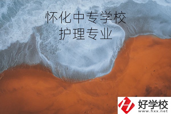 懷化有學(xué)護(hù)理專業(yè)的中專學(xué)校嗎？