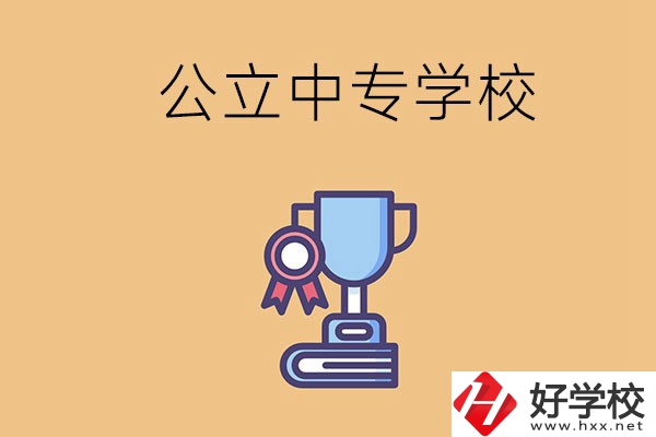 常德的公立中專學(xué)校有哪些？有什么特色？