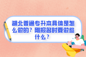 湖北普通專升本具體是怎么做的？剛報(bào)名時(shí)要做些什么？