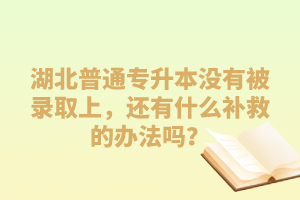 湖北普通專升本沒有被錄取上，還有什么補(bǔ)救的辦法嗎？