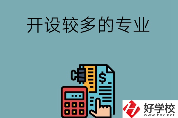 湖南的中職學(xué)校開設(shè)較多的專業(yè)是哪些？