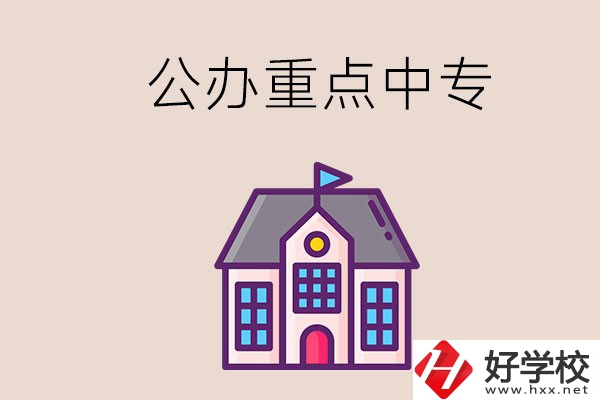 湖南重點(diǎn)中專學(xué)校里哪些是公辦的？